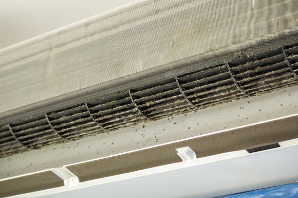 Best Air Duct Cleaning Near Me  in Knoxville, IA