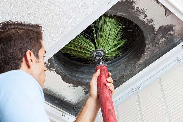 Air Duct Mold Removal in Knoxville, IA